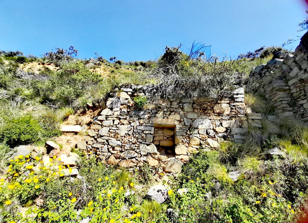Mural 3
